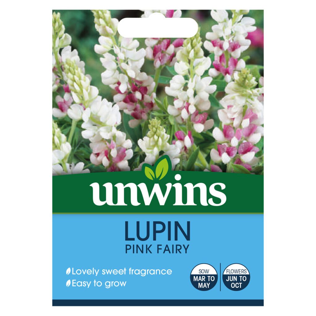 Unwins Lupin Pink Fairy Seeds 5051618030915 2